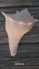 The Gauze Summer Suit